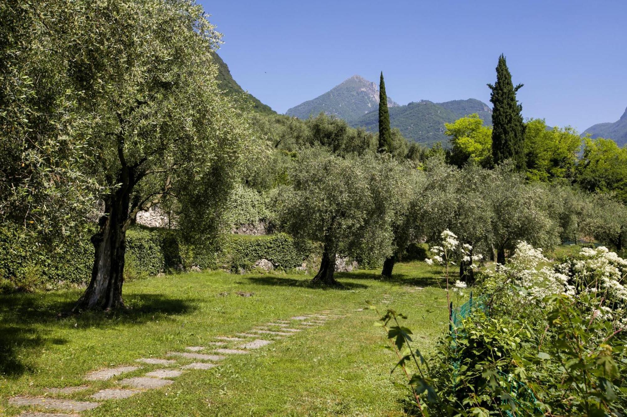 Lake View Dom-Us Apartment - Happy Rentals Riva del Garda Exterior photo